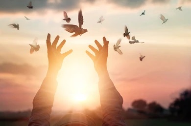 Зміни у виконавчому провадженні на час дії воєнного стану