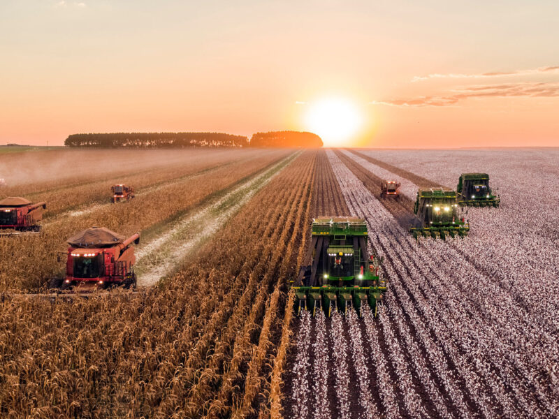 Оренда земель сільськогосподарського призначення в період воєнного часу